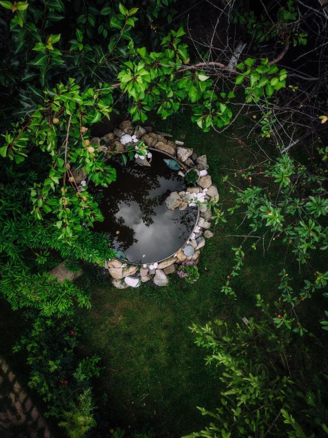 Casuta De Sub Deal - Ciubar Si Piscina Villa Măgura Buitenkant foto